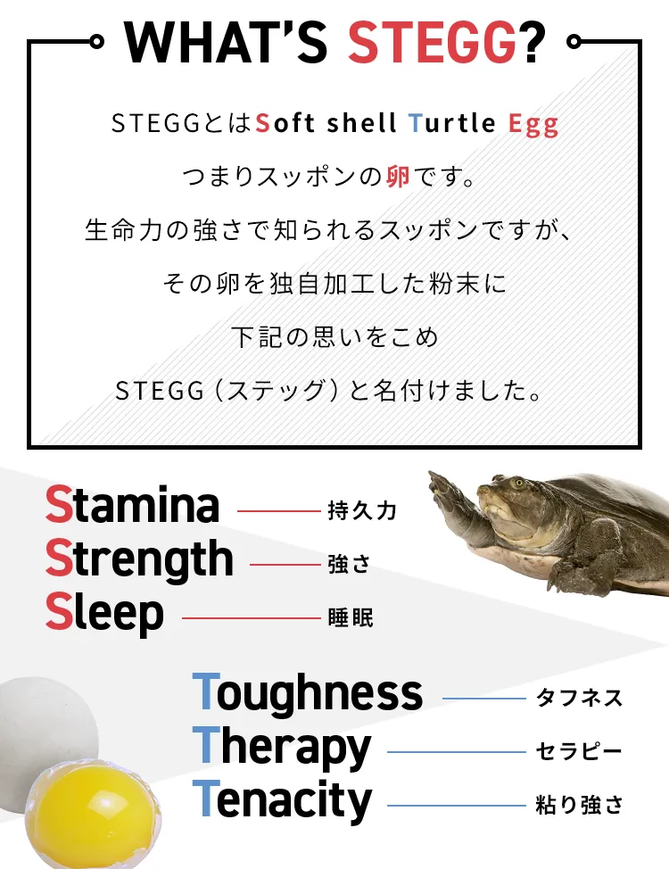 STEGGとはSoft shell Turtle Eggつまりスッポンの卵です。